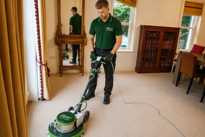 Professional carpet cleaning result 2
