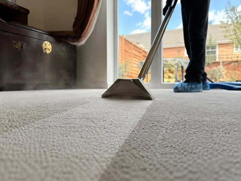 Professional carpet cleaning result 5