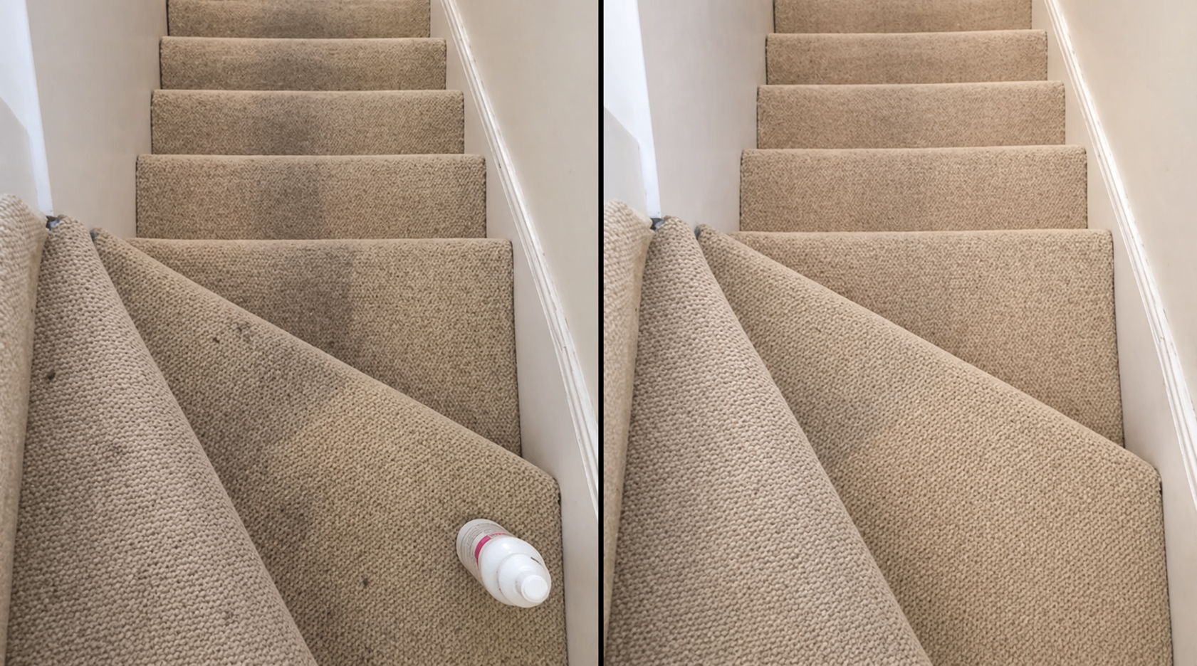 Professional carpet cleaning result 7