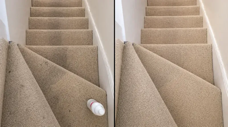 Professional carpet cleaning result 7