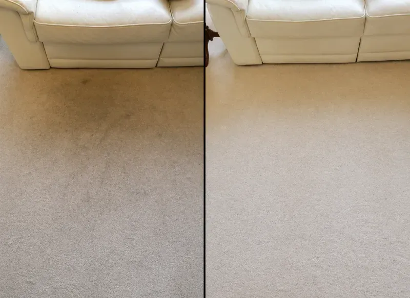 Professional carpet cleaning result 9